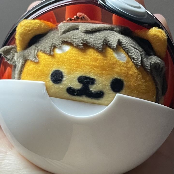 是朋友给我做的团长!截图