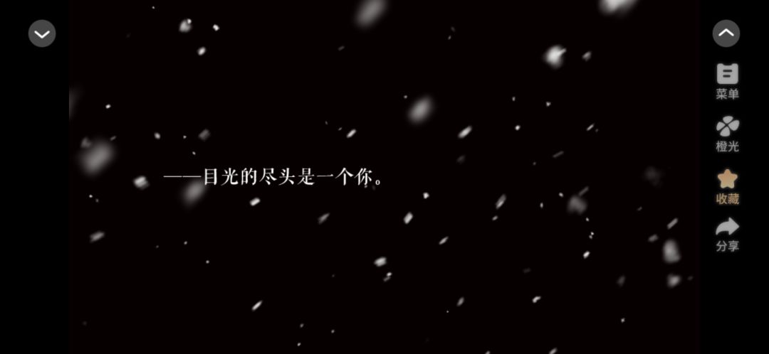 白毛黑毛 3
