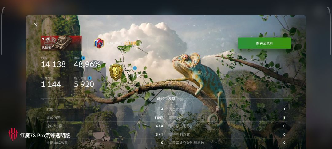 动态图片 10