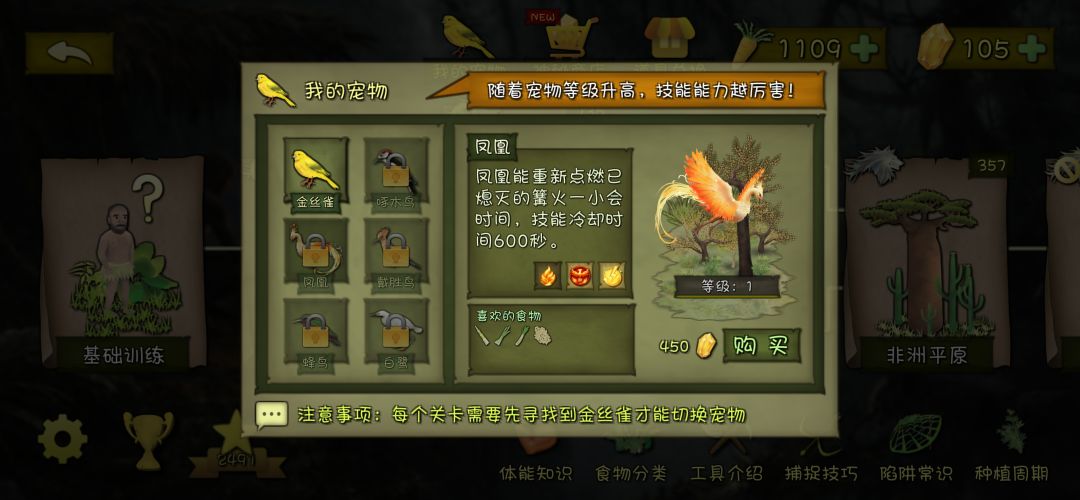 凤凰都出来了 1