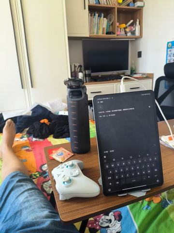 80后大叔入坑 刚从暗黑不朽脱坑