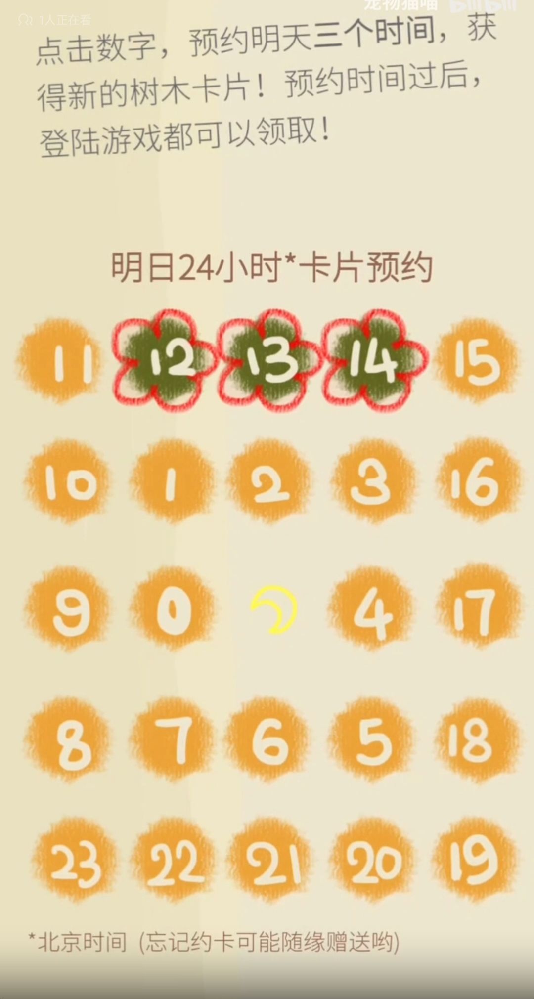 从光秃秃的山头,到漫山遍野的树 3