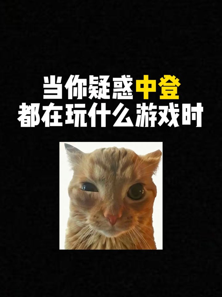 中登都在玩什么游戏?截图