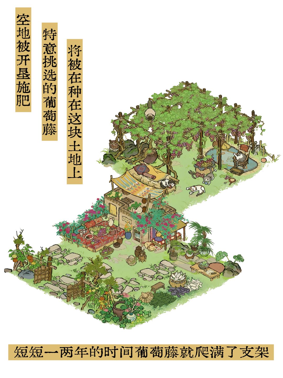 蔷薇酒庄——🍇葡萄大院🍇 2
