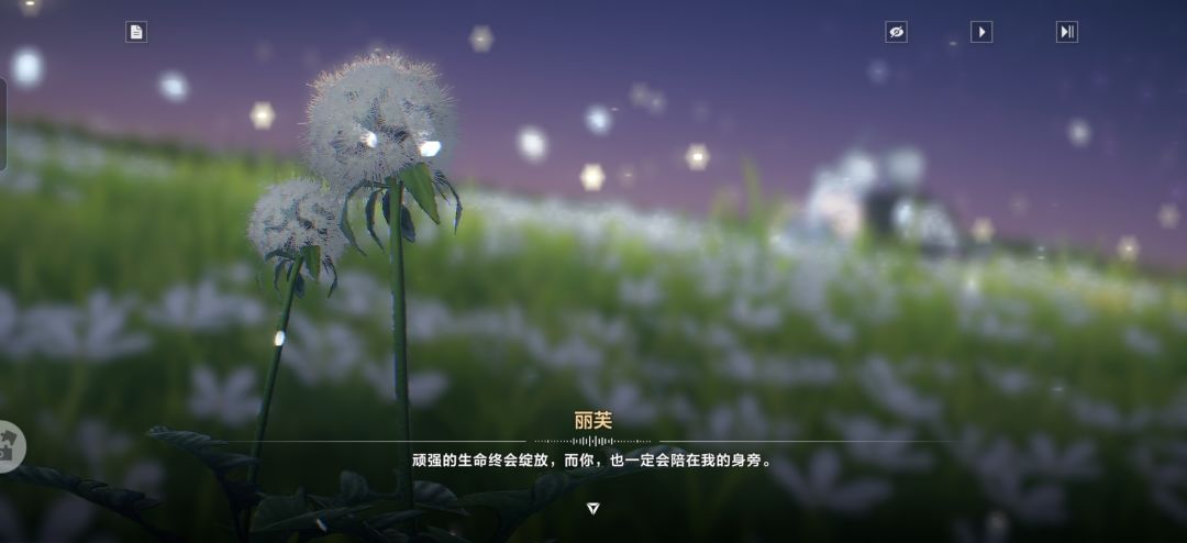 梦中,星空、花海,蒲公英与你【丽芙邀约】 13