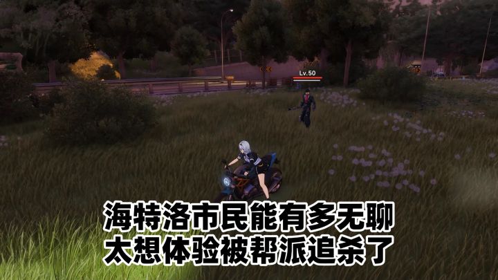 海特洛市民能有多无聊,太想体验被帮派追杀了截图