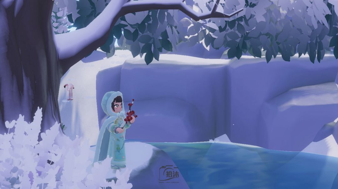 嬛嬛的摄影作品来喽 2