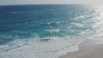 《无尽的拉格朗日》地球日 — 「森林海洋保护计划，即将启航」