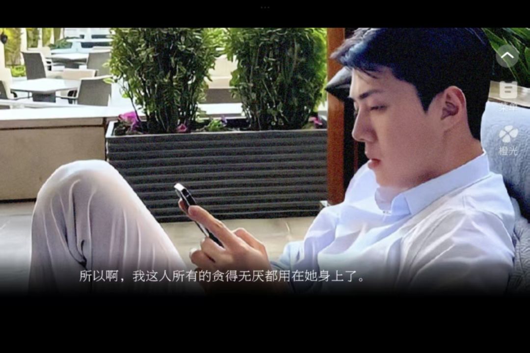 推荐地橙 3