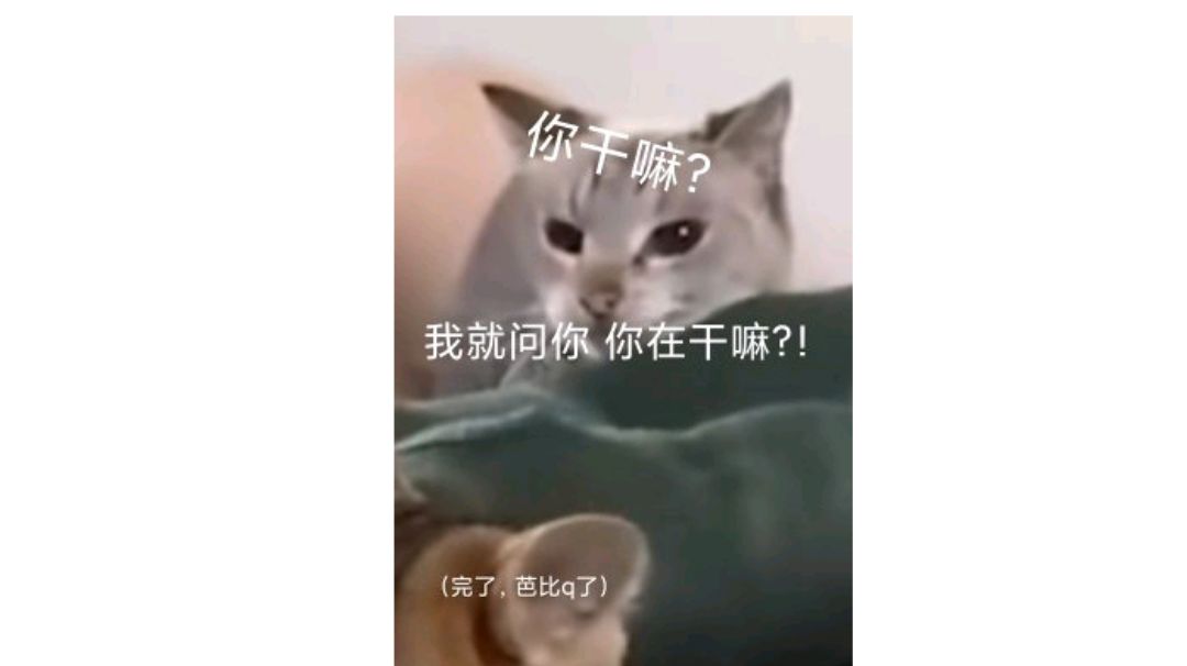 video-3258698
