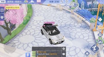 新品发布会 | smart跨界联动定制款S级宠物上新！