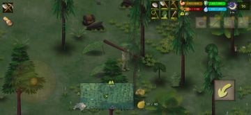 泰国丛林陷阱点分享