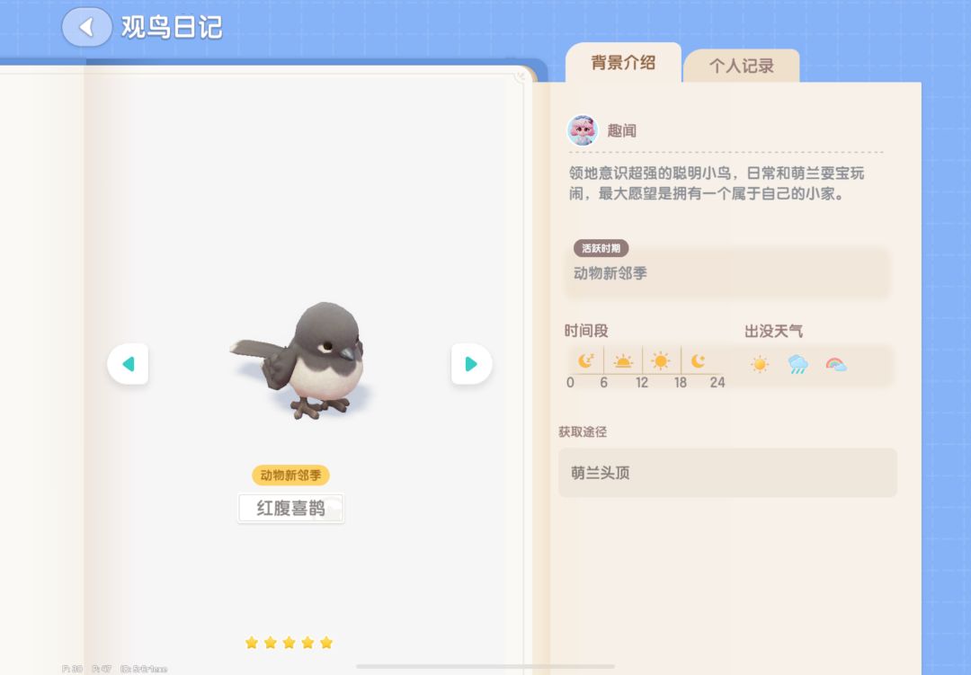心动小镇动物潮流季观鸟篇 6