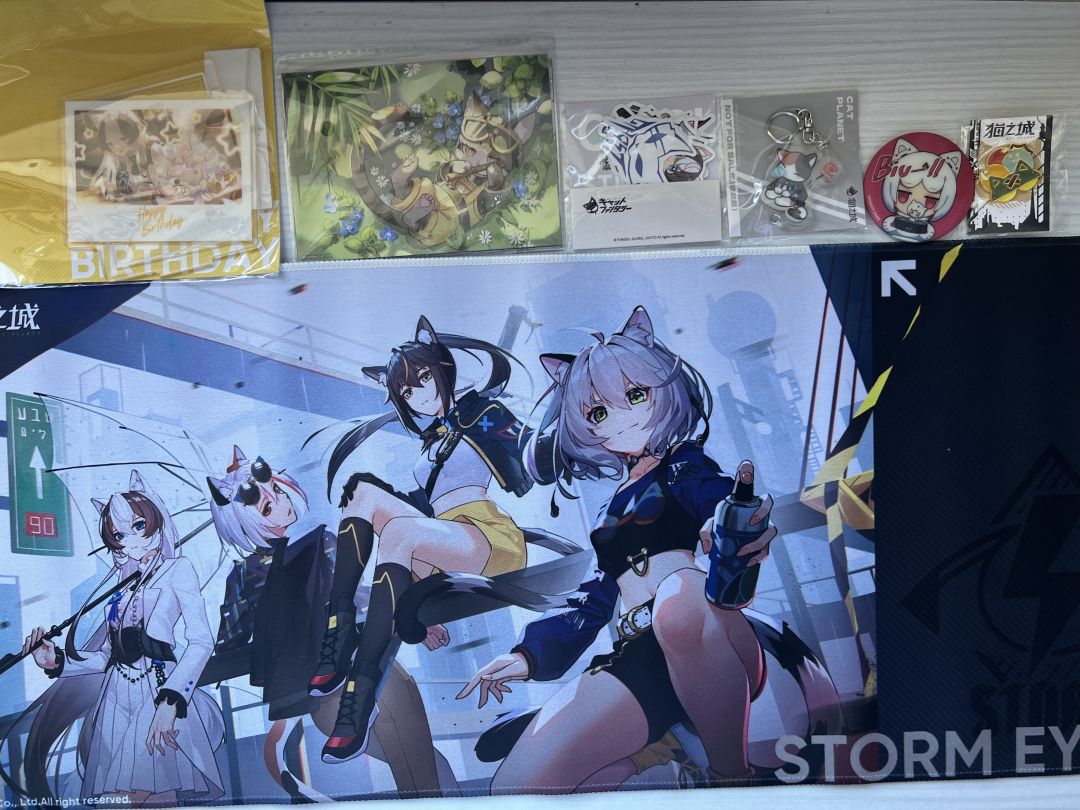 猫猫可爱捏 1
