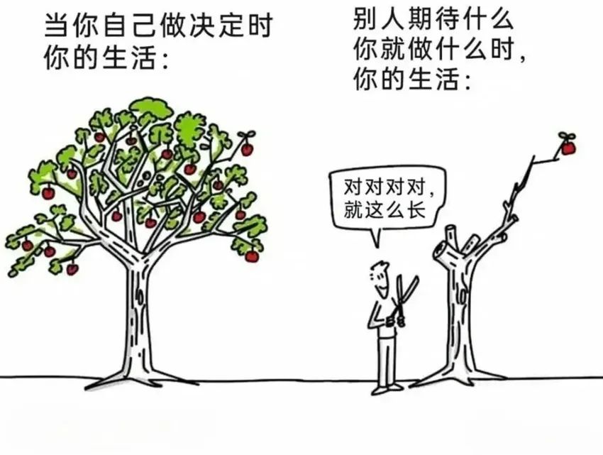 今日份梗图分享 2