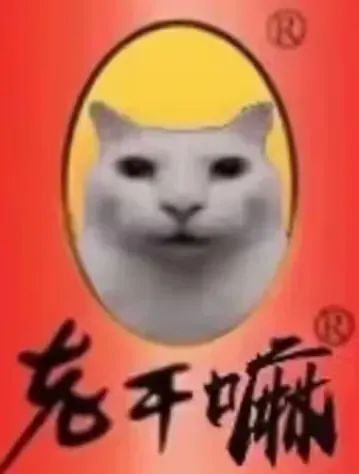 我跟别人吐槽说开始几个月付费上班结果人跟我说拖工资这是浙江的习俗,说他们那超过三个月就润了,还说他工作是家里人找的。绷不住了,好像我那不是家里托关系给人打黑工,就这家里人还跟我说编,外包还编呢,还拖工资,还是新单位装修搞一年拔草厨房啥的都要外包当牛马去搞截图