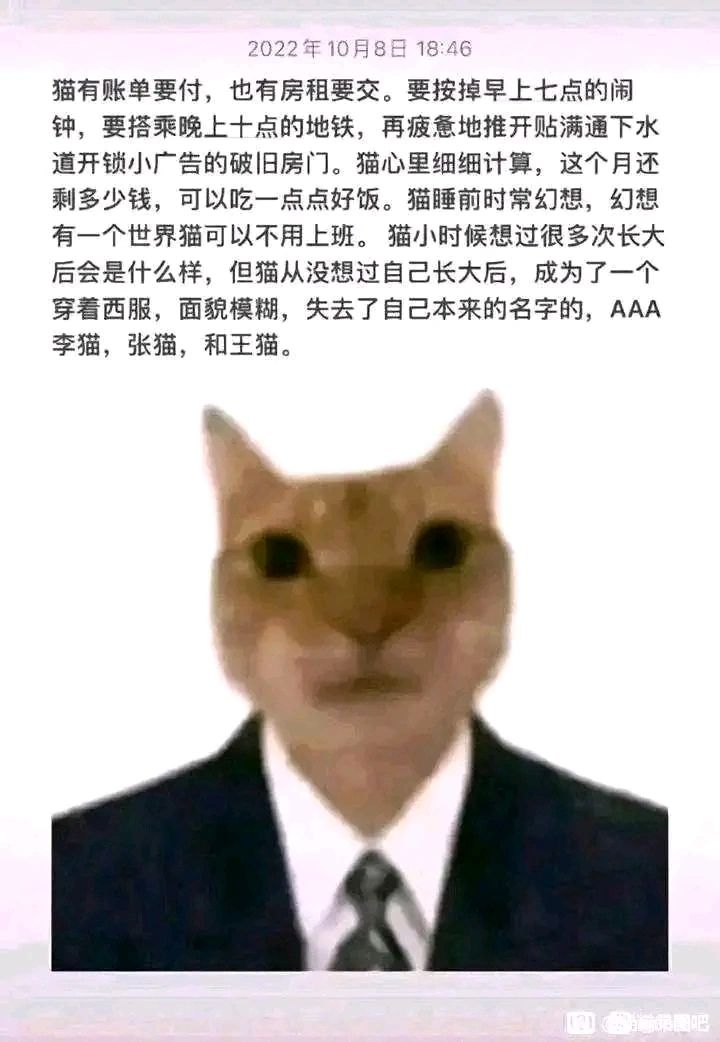 一分钱没有能玩这游戏吗?截图
