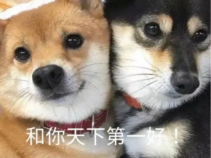 康康截图