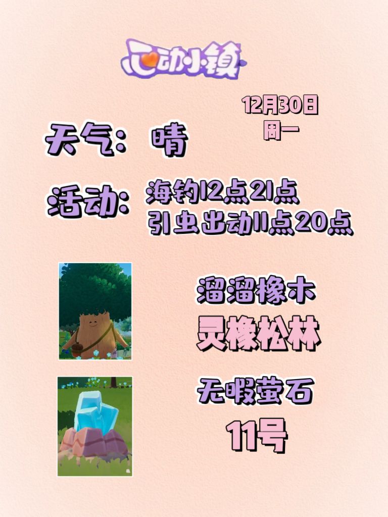 12月30日溜溜木萤石位置及活动摘要 2