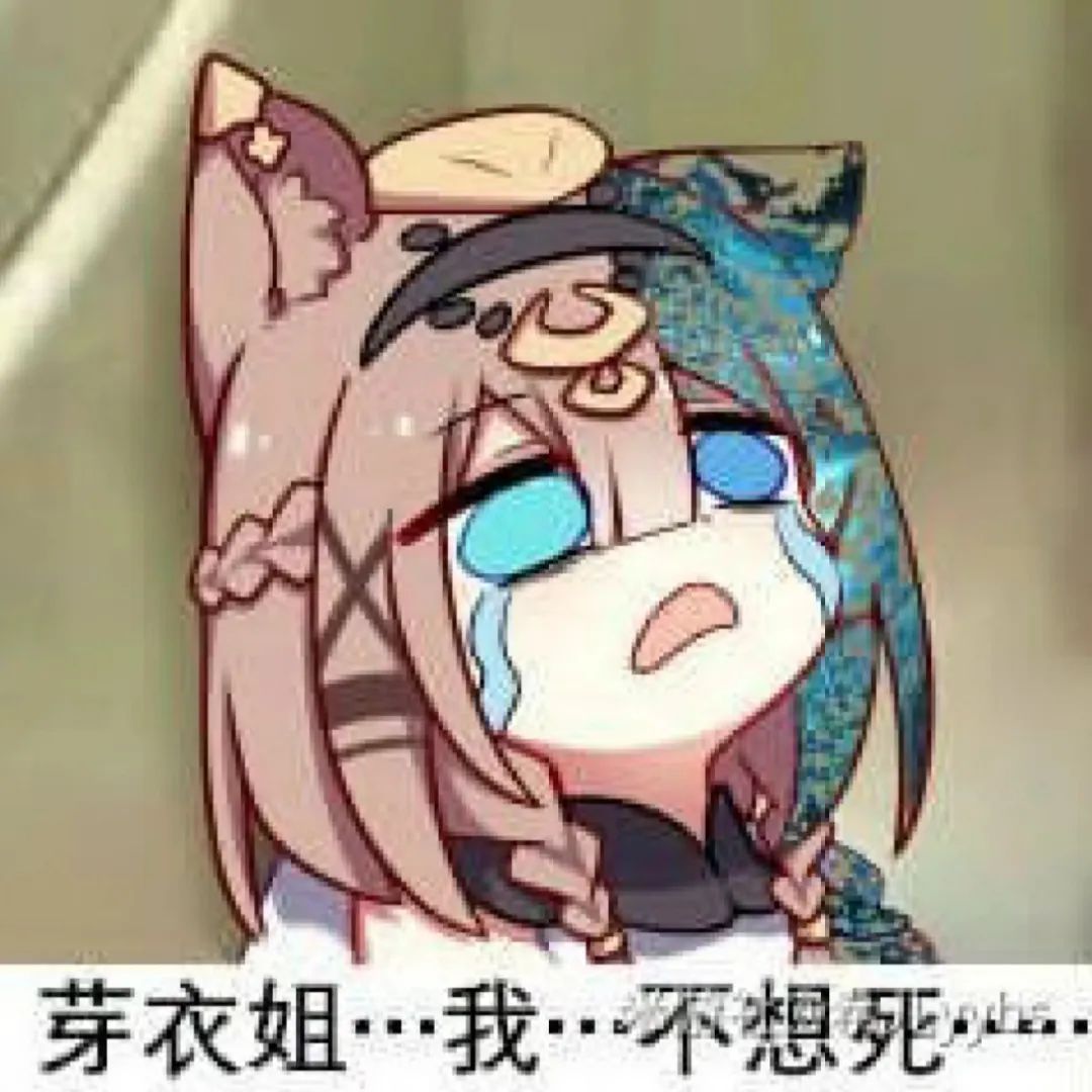 帕朵表情包 1