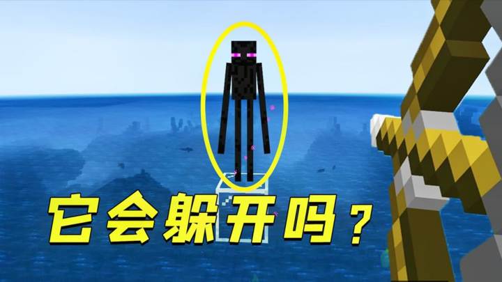 我的世界：无处瞬移，末影人会被箭击中吗？结局意外了！截图