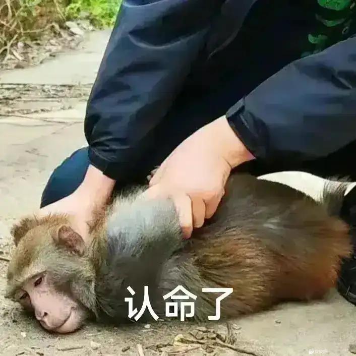 论游戏的难吃程度。截图