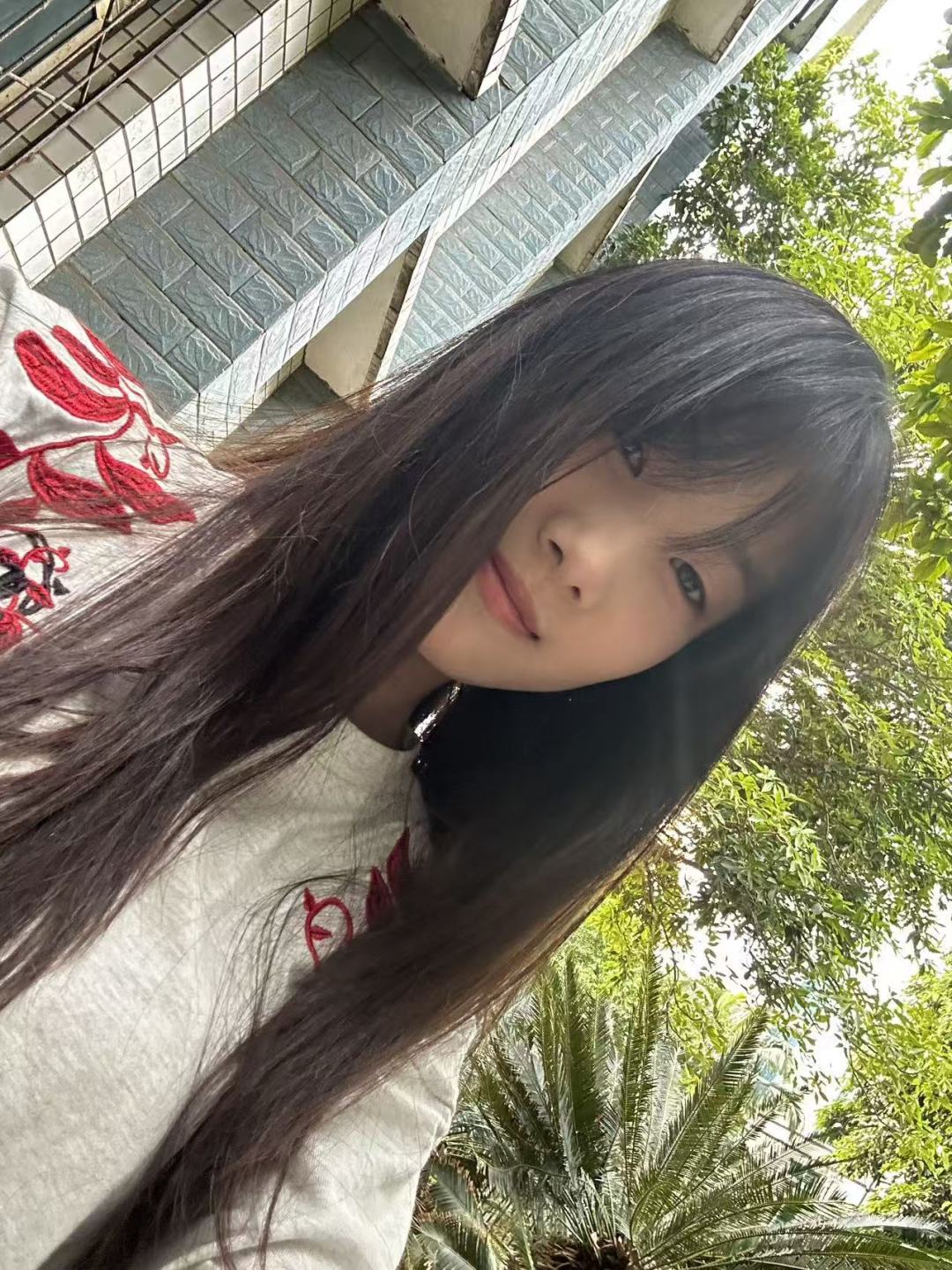动态图片 10
