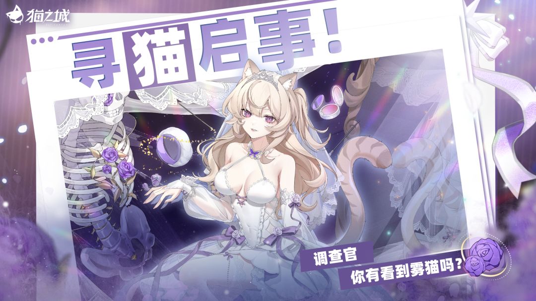 🐾寻猫启事:你有看到雾猫吗? 1