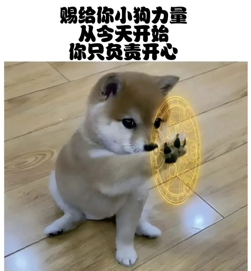 ✨今日份梗图分享第四十九期✨ 1