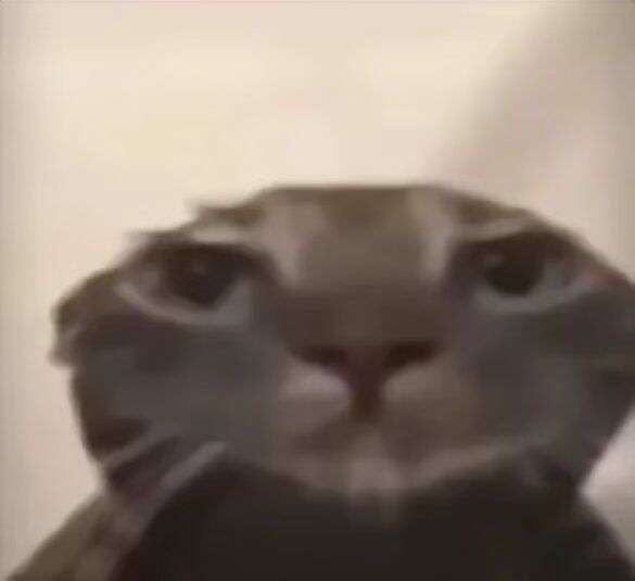 求助救命 2