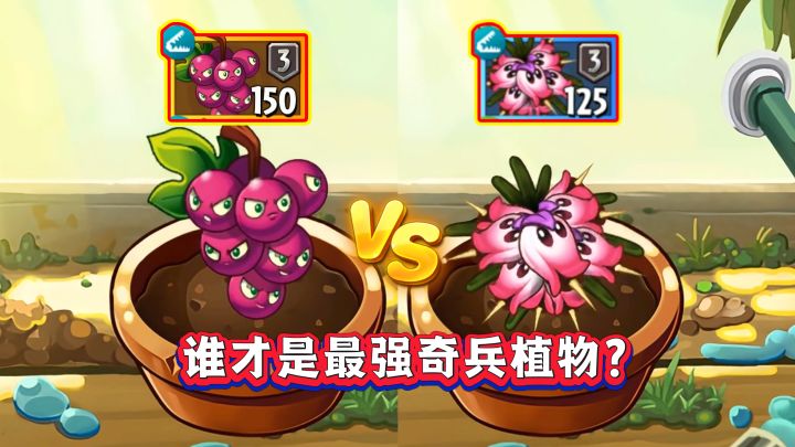 最高三阶!爆裂葡萄VS石楠探索者,谁才是最强奇兵植物?截图
