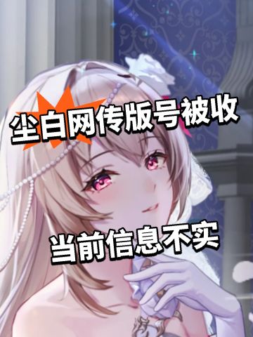 尘白网传版号被收 当前信息不实