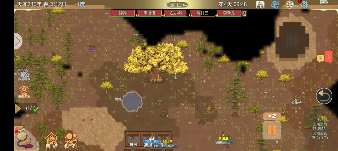 三棵巨银杏 2
