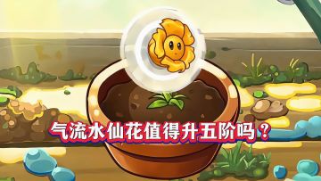 “微氪天花板”气流水仙花到底有多强？1阶到5阶实测！