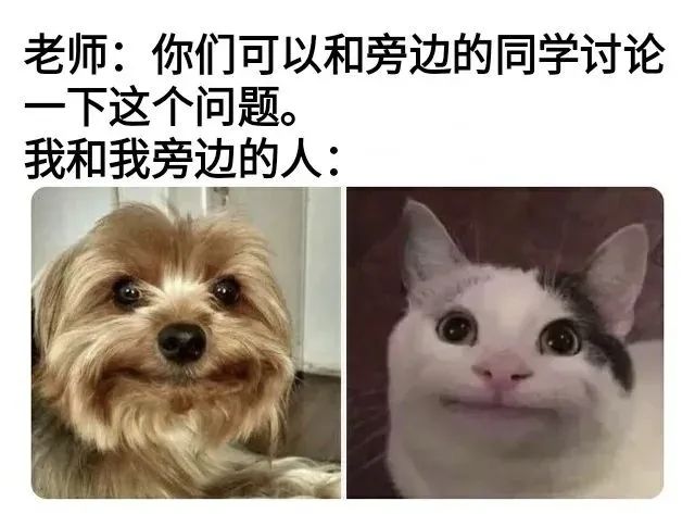 今日份梗图分享 3