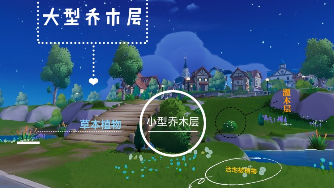 小镇植物记 2
