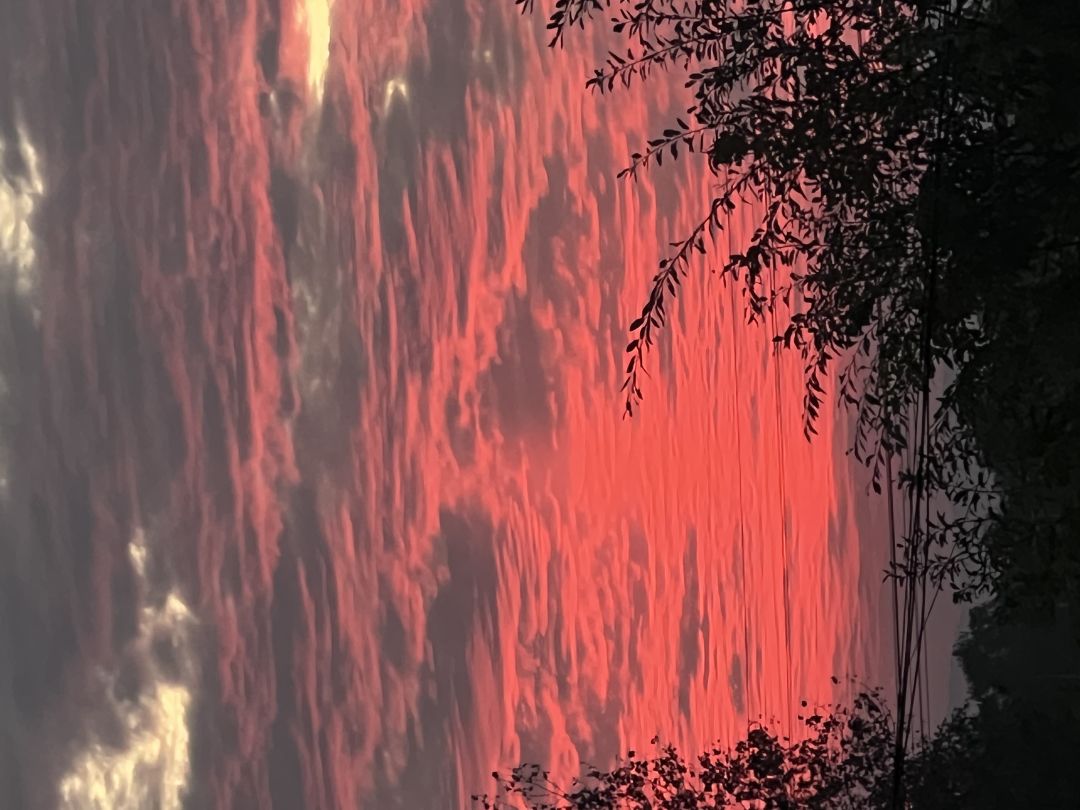 求助 1