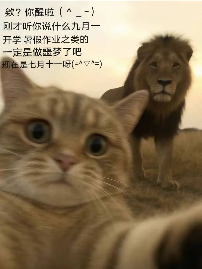 今天不是七月十一吗? 1