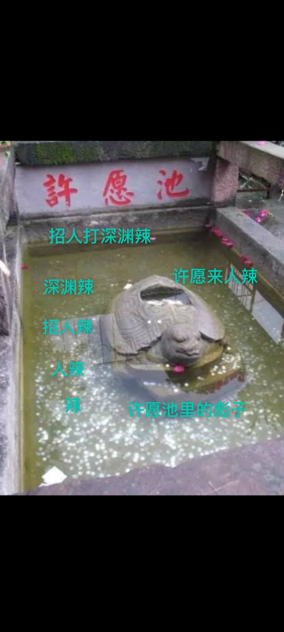 一区溪云入笺收流浪忍忍 1