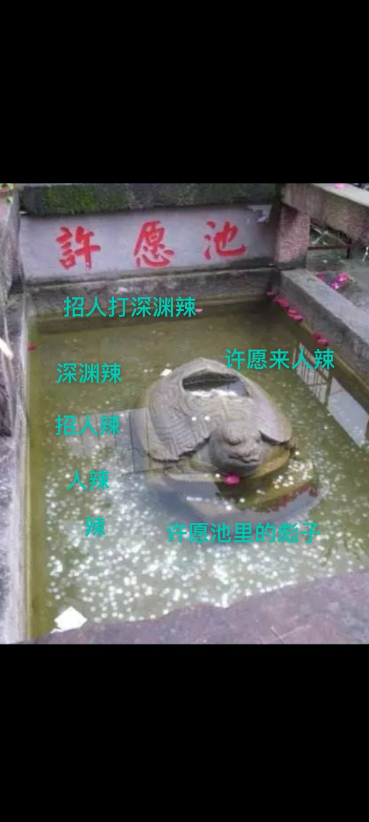 一区溪云入笺收流浪忍忍截图
