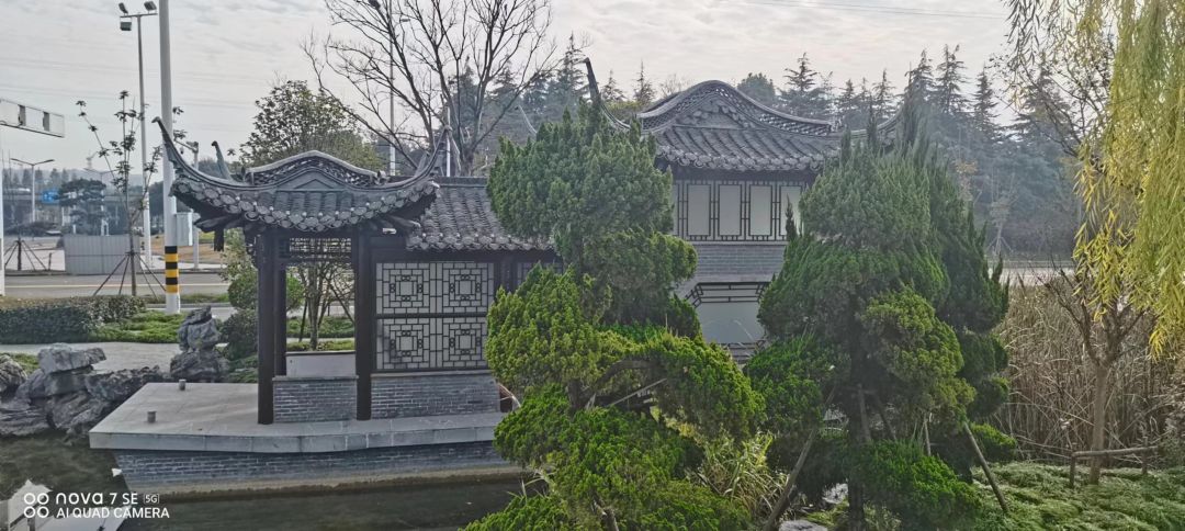 动态图片 5
