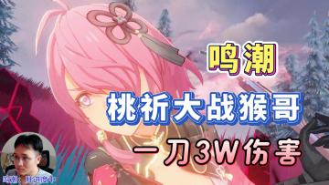 【鸣潮】桃祈大战猴哥，一刀3万伤害！后期肉鸽玩法展示！