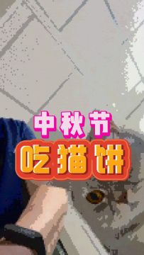 开发组有猫饼，当然要中秋节吃！双节快乐！|