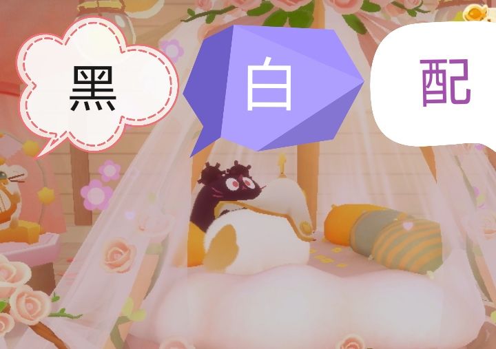 浪花节「多元创作大赏」云养猫日常 2