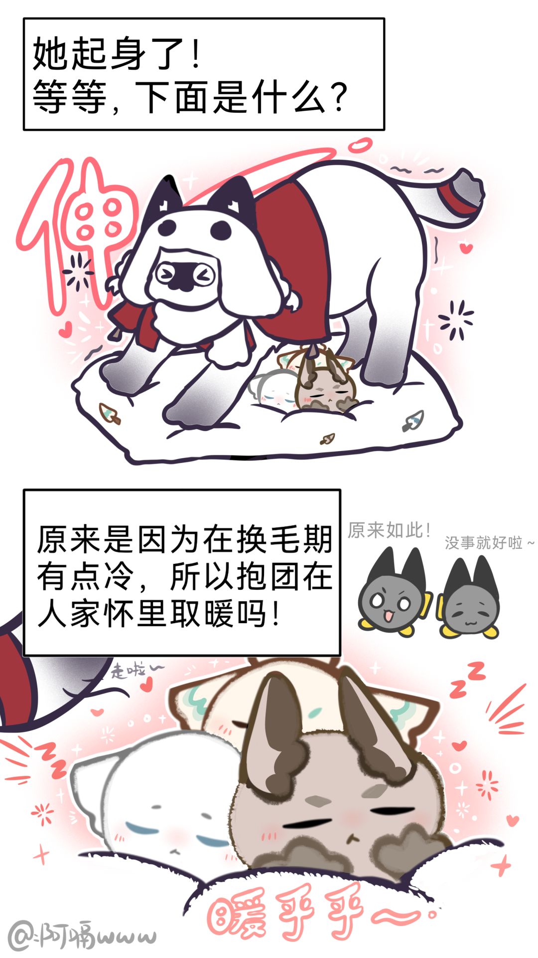 【山团团漫画】小鸟团子失踪案?! 5