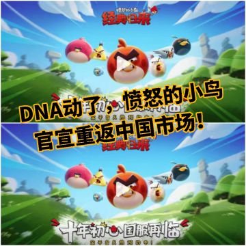 DNA动了，愤怒的小鸟官宣重返中国市场！