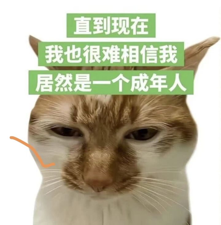 请问这游戏s3赛季还更新吗,到现在还没有消息截图