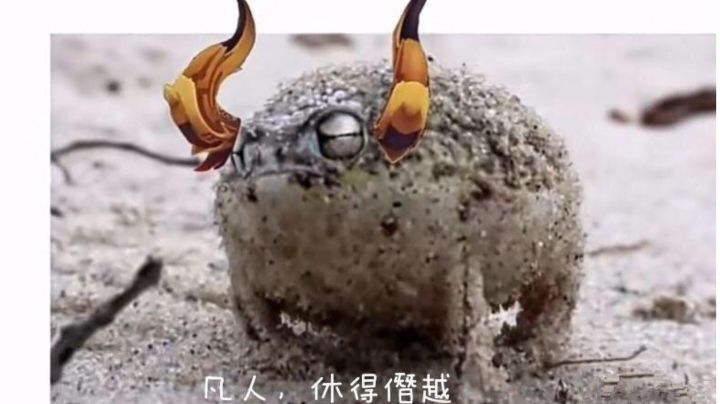 嘿嘿，小草神打C截图