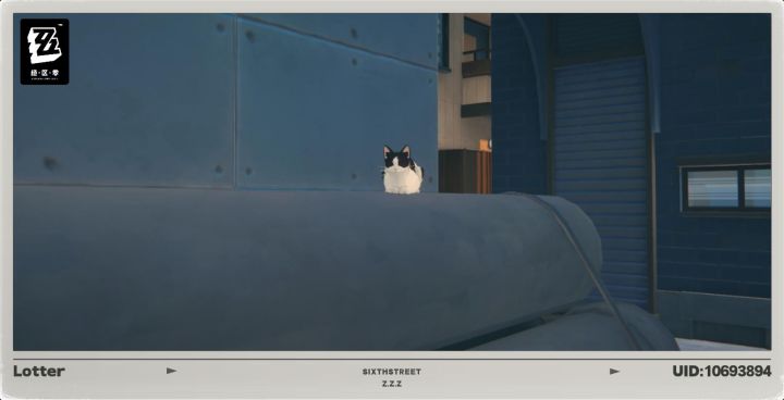 两只猫咪🐈截图