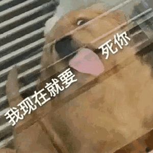 要不天刀也开一个赛季服吧截图